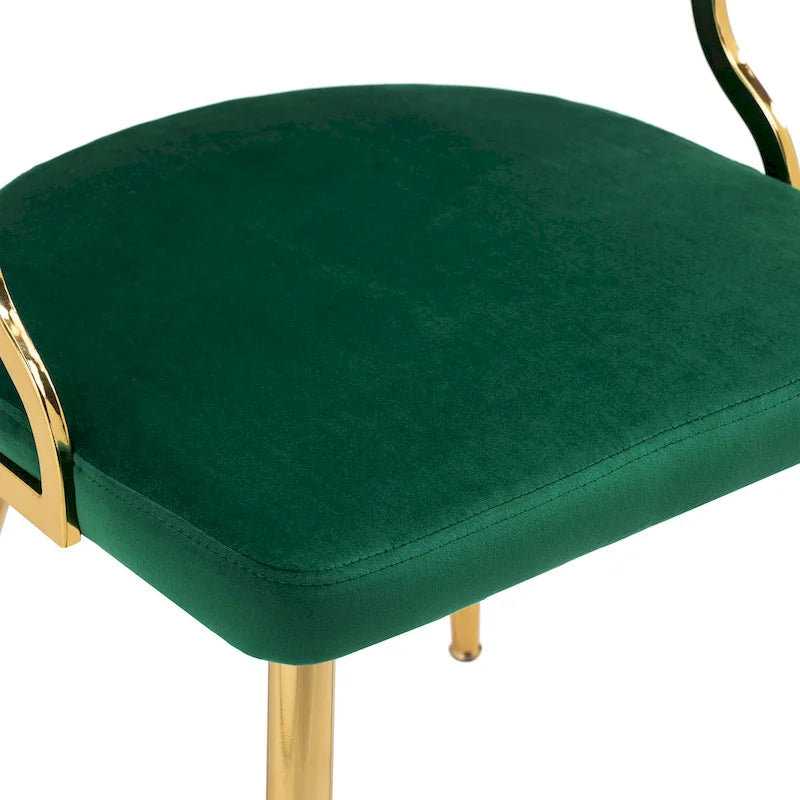 Lot de 4 chaises de salle à manger modernes en velours